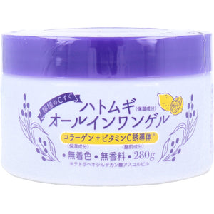 Lemon's C-Zuku Job's Tears All-in-One Gel 280g