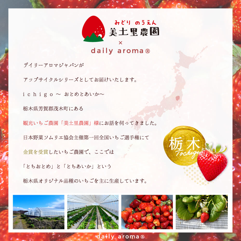 ichigo FRAGRANCE HAND CREAM DA 75g